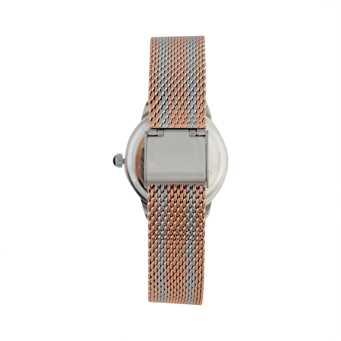Mix Metal Mesh Watch