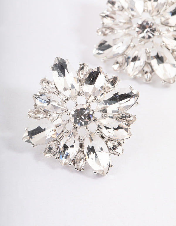 Silver Statement Stud Earrings