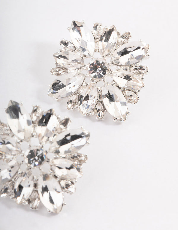 Silver Statement Stud Earrings