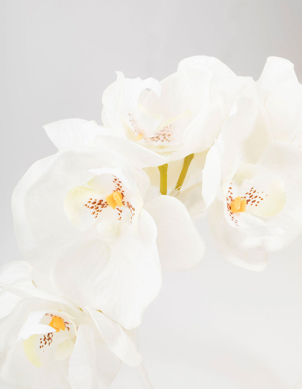 Plastic Large Orchid Headband