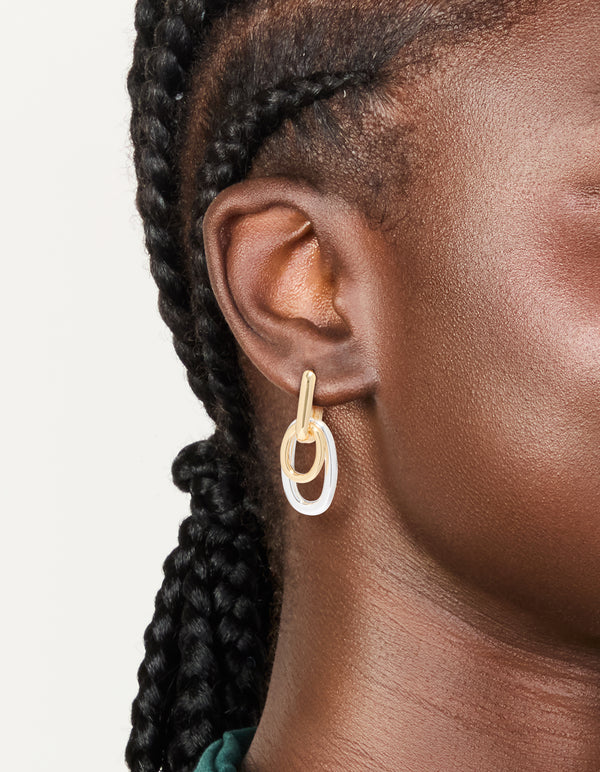 Mixed Metal Plated Chain Link Drop Earrings
