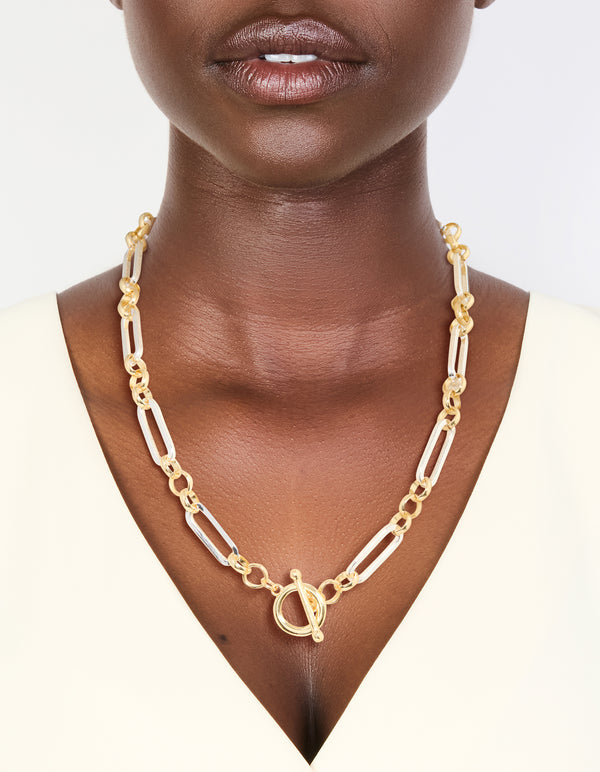 Mixed Metal Plated Link Chain Necklace