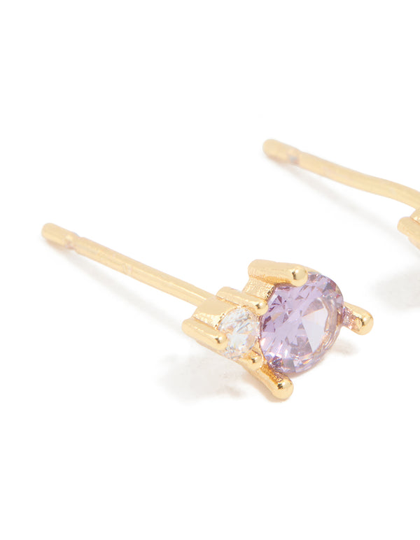 Waterproof Gold Plated Stainless Steel Cubic Zirconia Duo February Birthstone Stud Earrings