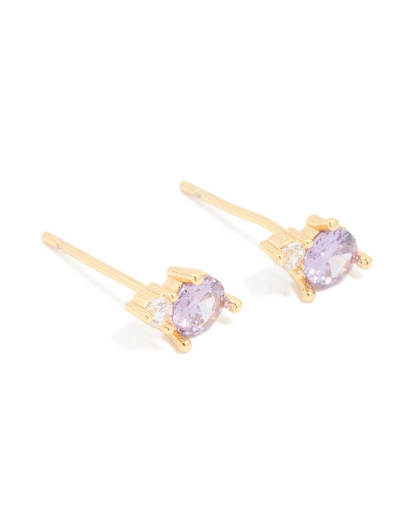 Waterproof Gold Plated Stainless Steel Cubic Zirconia Duo February Birthstone Stud Earrings