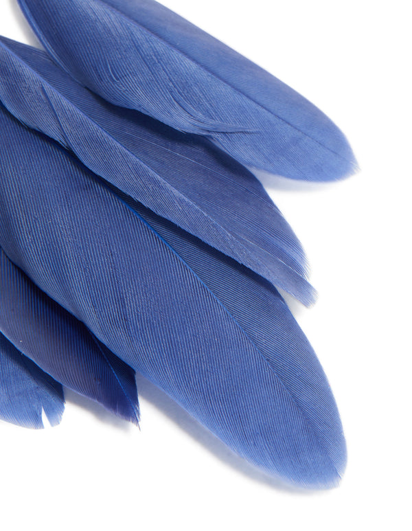 Gold Dark Blue Feather Dreamcatcher Earrings