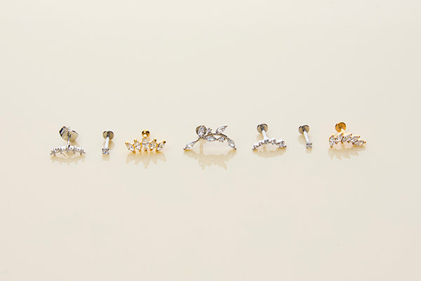 Text and image section