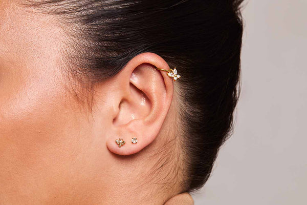 Text and image section