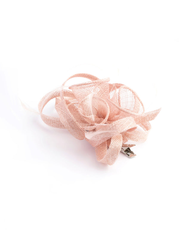 Pink Swirl & Feather Clip