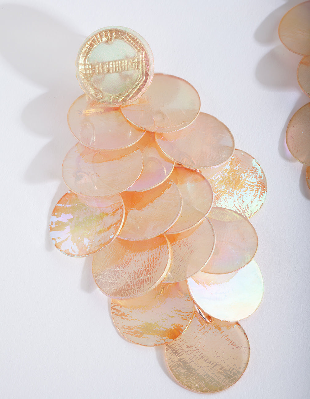 Reflective Shell Disc Earrings