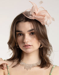 Blush Feather Straw Clip - link has visual effect only