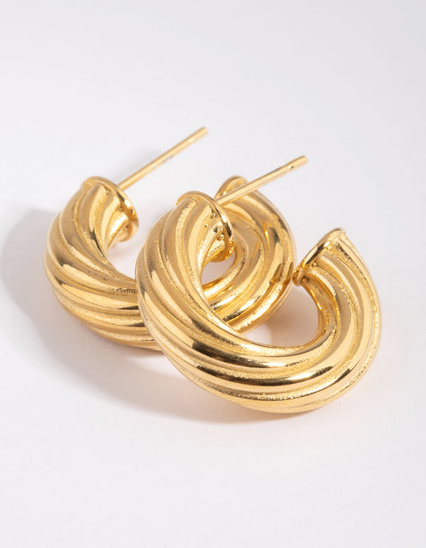 Waterproof Gold Plated Stainless Steel Hoop Earrings