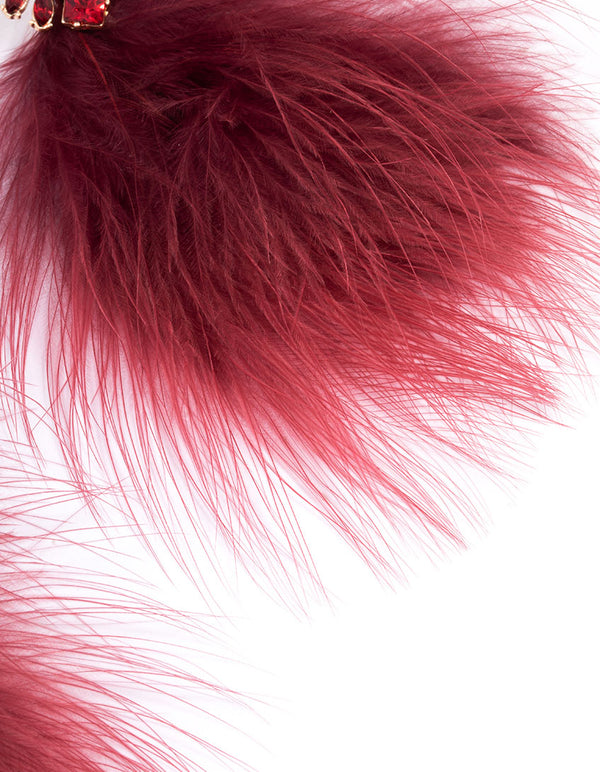 Red Stone Feather Drop Earrings