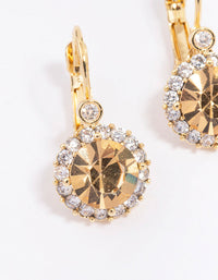 Gold Plated Cubic Zirconia Halo Hook Earrings - link has visual effect only