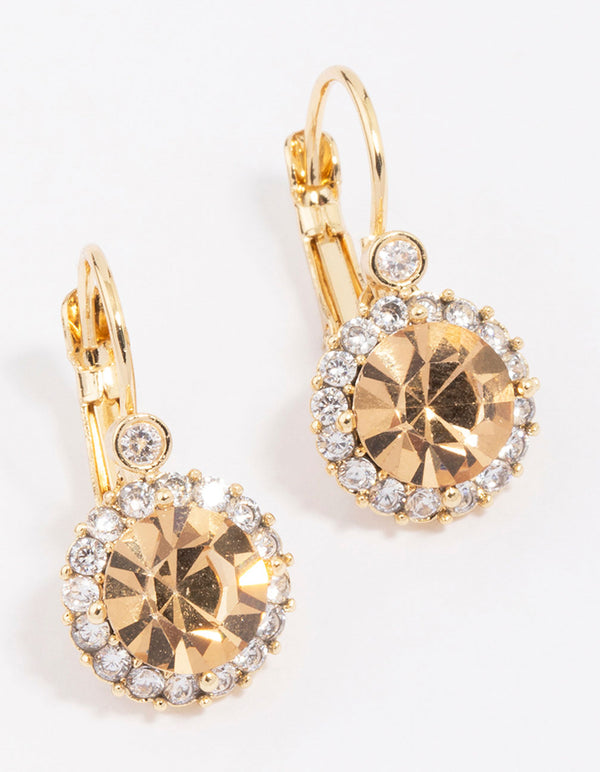 Gold Plated Cubic Zirconia Halo Hook Earrings
