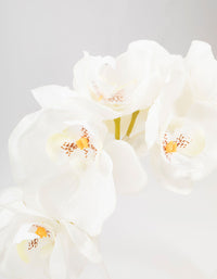 Plastic Large Orchid Headband - link has visual effect only