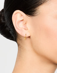 Gold Plated Surgical Steel Medium Sleeper Earrings 12 mm - link has visual effect only