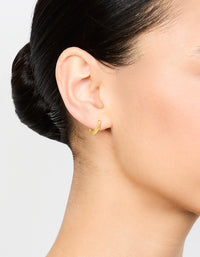 Gold Plated Surgical Steel Twisted Hoop Earrings - link has visual effect only