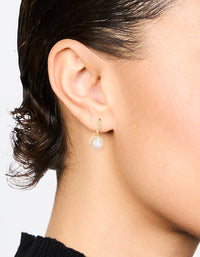 Gold Plated Cubic Zirconia Round Halo Drop Earrings - link has visual effect only