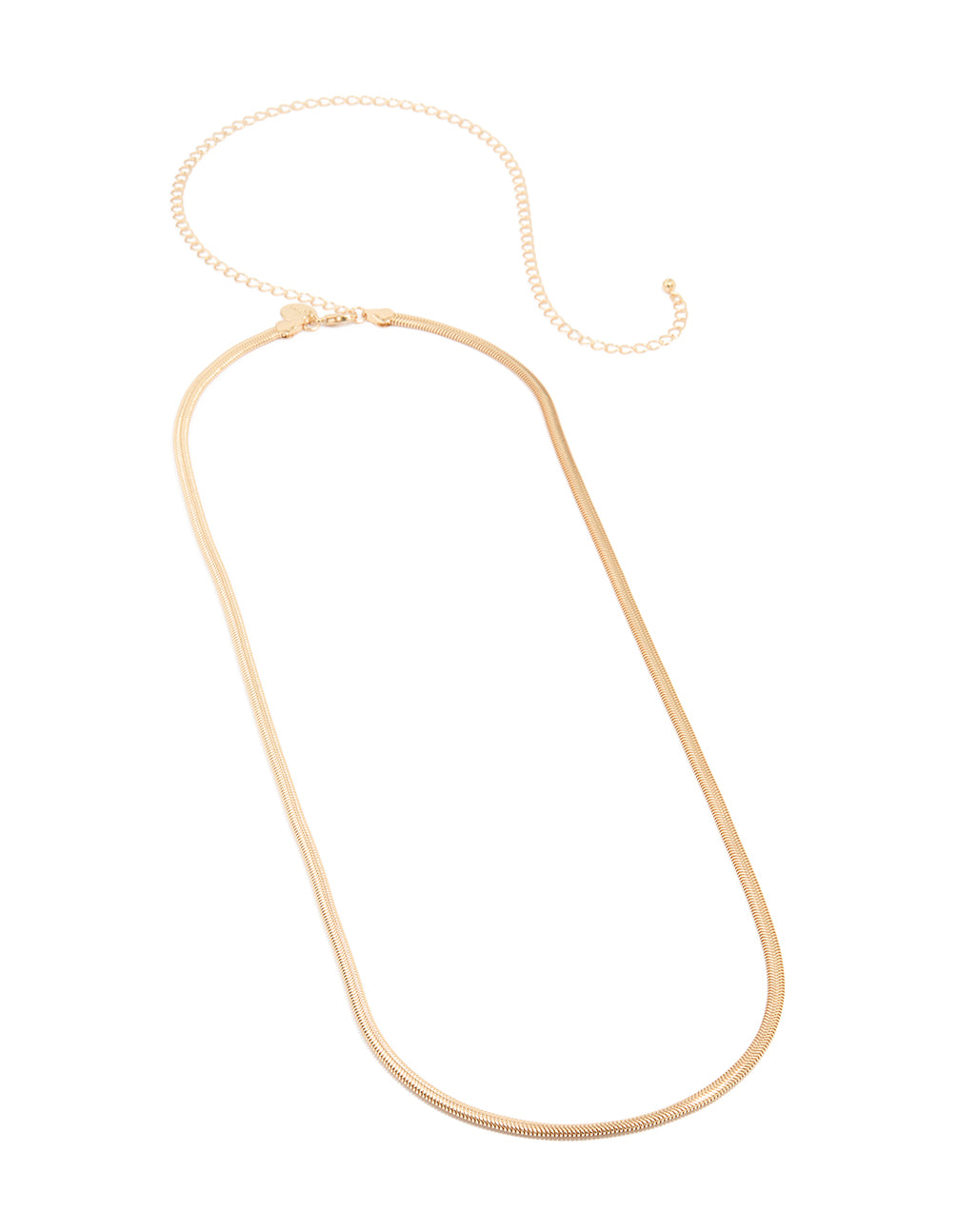 Gold Snake Chain Waist Chain