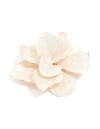 Gold White Enamel Flower Brooch - link has visual effect only