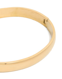 Waterproof Rose Gold Plated Stainless Steel Smooth Hinged Bangle - link has visual effect only