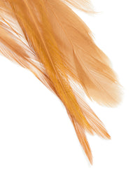 Gold Brown Feather Boho Fish Hook Earrings - link has visual effect only