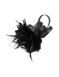 Black Loop Feather Hair Clip - link has visual effect only
