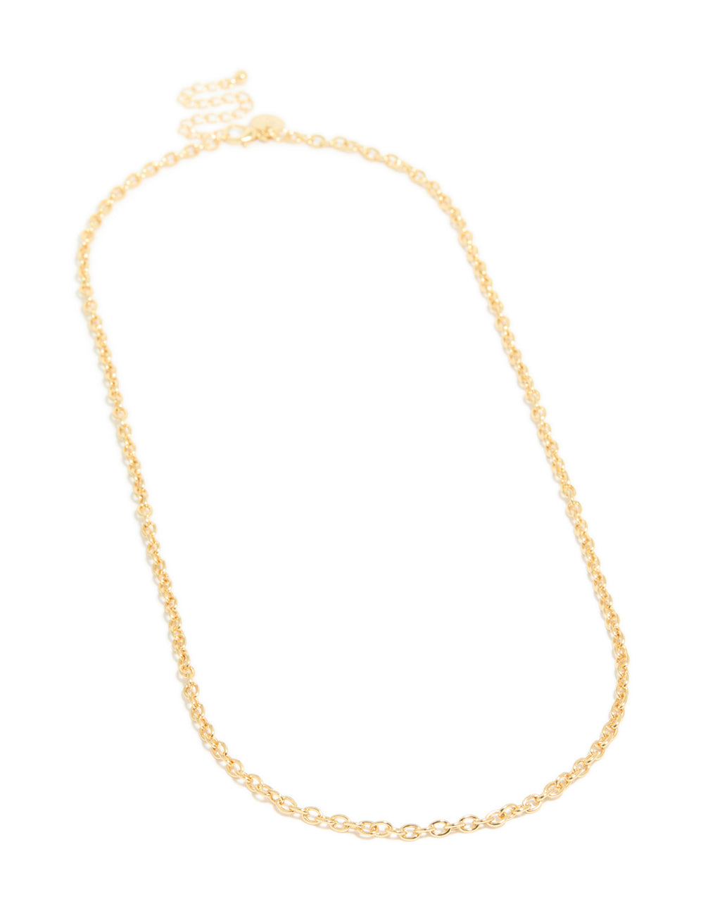 Presenting a gold plated rolo chain necklace front view
