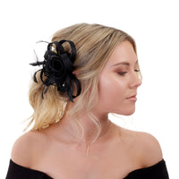 Black Swirl & Feather Clip - link has visual effect only