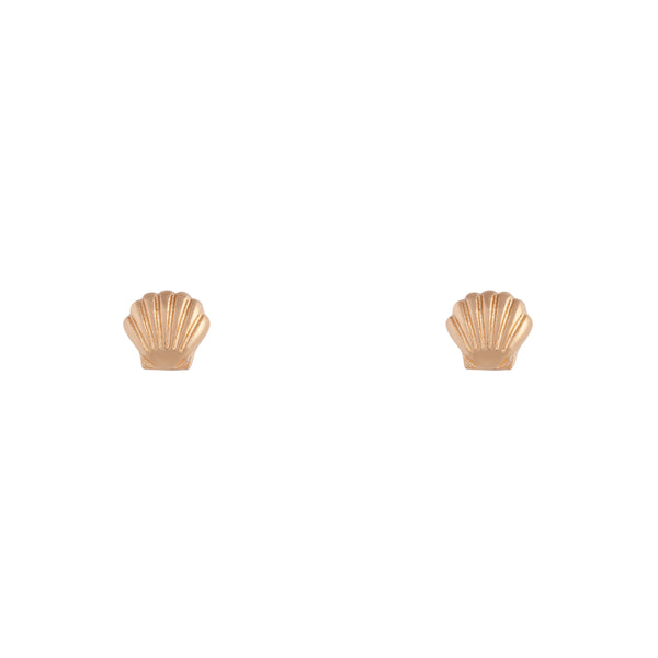 Small Seashell Gold Stud Earrings