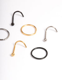 Titanium Nose Stud & Ring 6-Pack - link has visual effect only