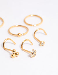 Gold Plated Titanium Ring & Hook Nose 6-Pack - link has visual effect only